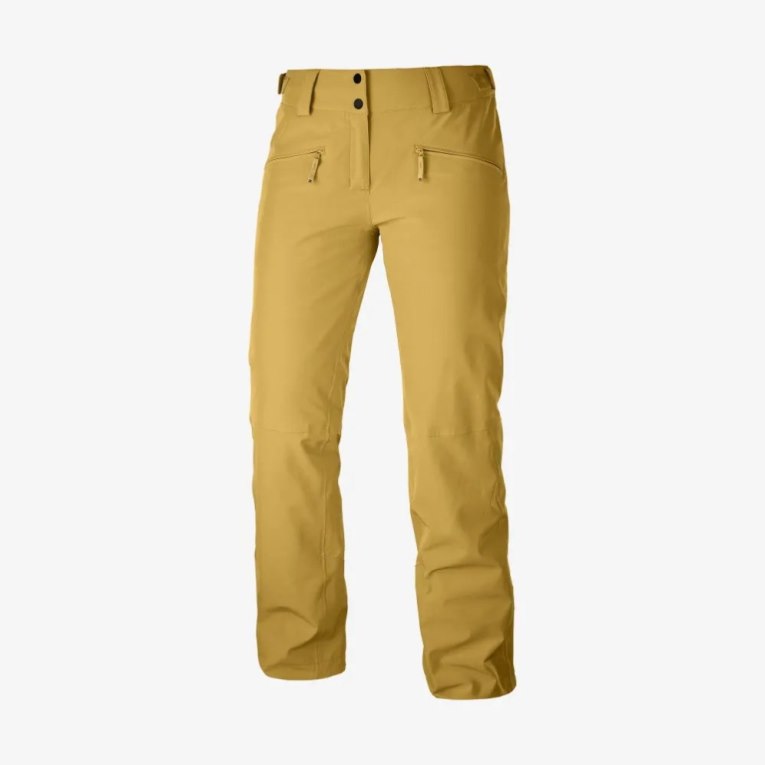 Salomon Edge Women's Ski Pants Brown | CA 73Y46